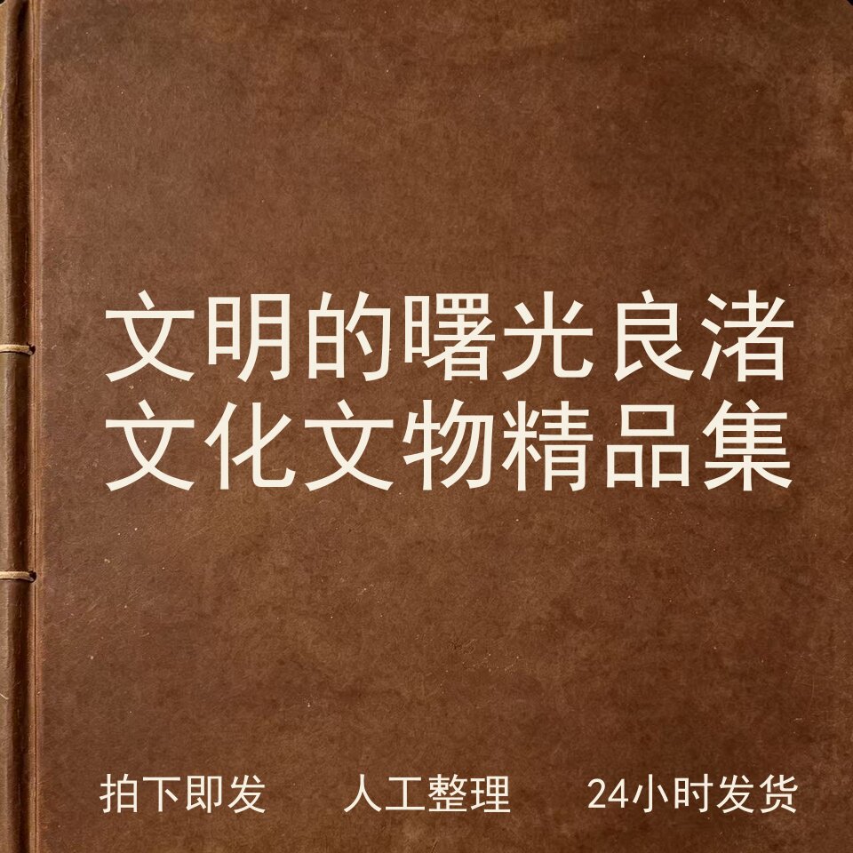 文明的曙光 良渚文化文物精品集文史人文兴趣参考电子版