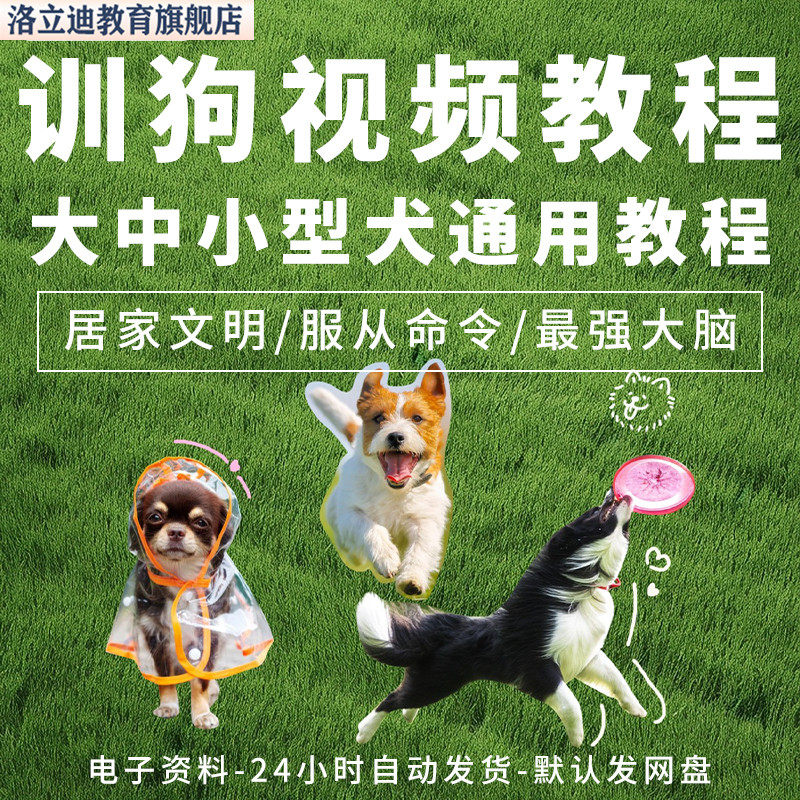 训狗教程训犬视频课程训犬师一对一指导宠物训练狗狗训练视频教学