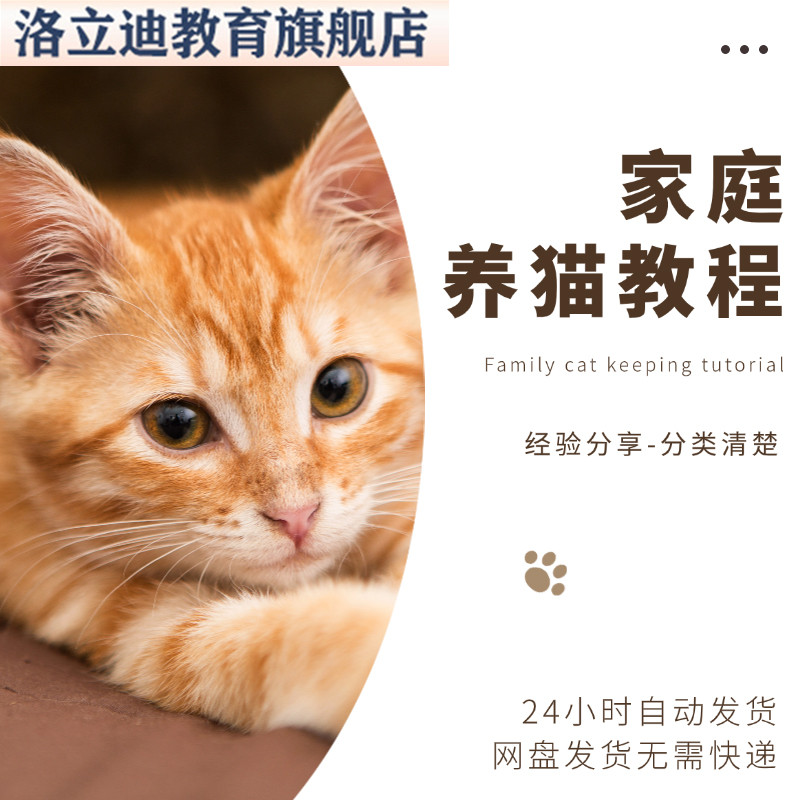 家庭养猫视频教程教学培训课程在线自学零基础从入门到精通教程