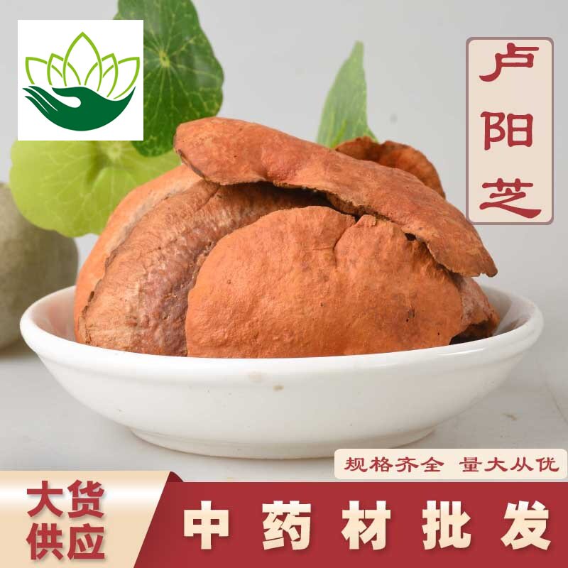 冷背中药材卢阳芝批发零售卢阳芝
