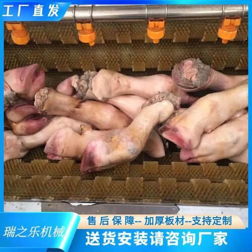 猪头牛羊蹄清洗机  毛刷式猪耳清洗去杂质机 火烧牛蹄清洗机厂家