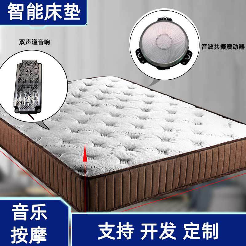 软硬可调节智能床电动皮床双人床升降振动按摩音乐海绵床垫配件
