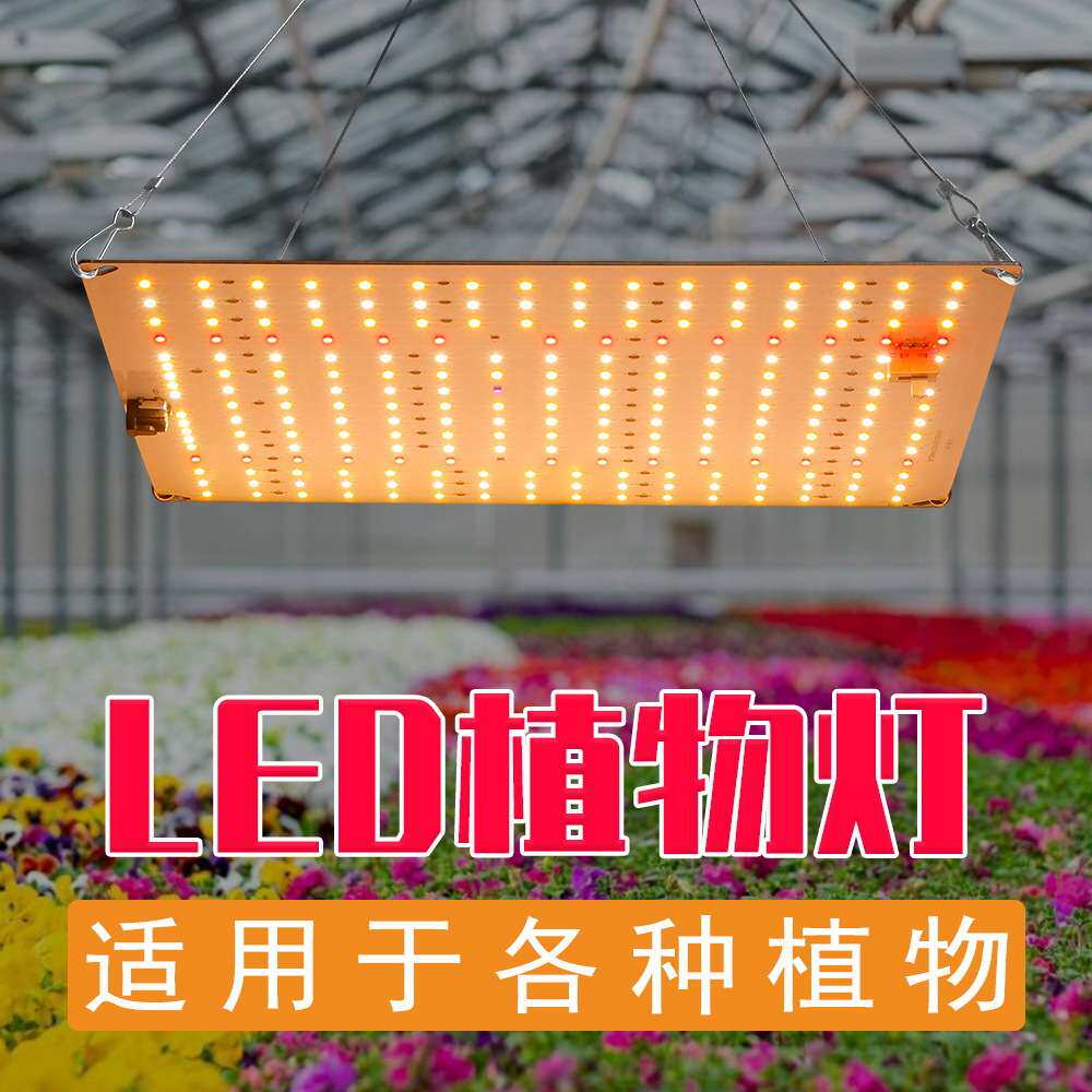 LED植物补光灯全光谱大棚50W植物灯种植温室照明生长灯轻薄多功能