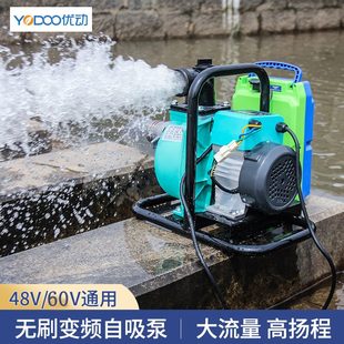 便携锂电户外抽水泵农用浇花浇地增压48V60V电动车充电家用抽水机