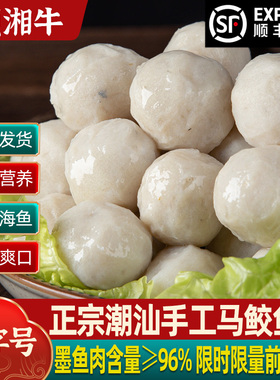 潮汕正宗手打手工马鲛鱼丸2斤装1000g汕头达濠特产火锅丸子食材