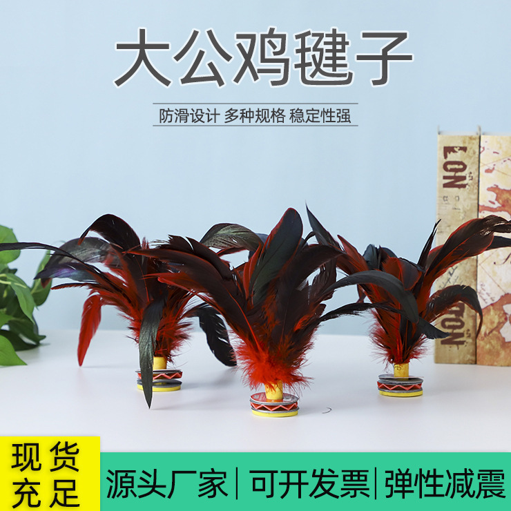 2025新款儿童成人健身毽球童趣无拘无束鸡毛毽子运动专用健身器材