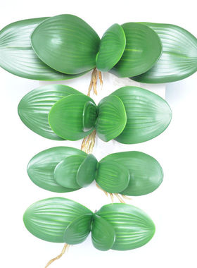 蝴蝶兰叶仿真叶手感兰花叶档叶丝网花配件插花配件装饰