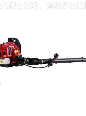 WPZ秋大季落叶清扫吹风机EB30E棚吹雪机背4负式汽油风吹机