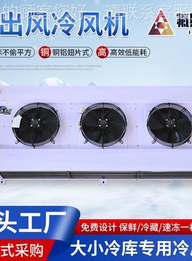定制业双出风 冷冷风机制冷设备DD60超强风家商用工车风间降温风