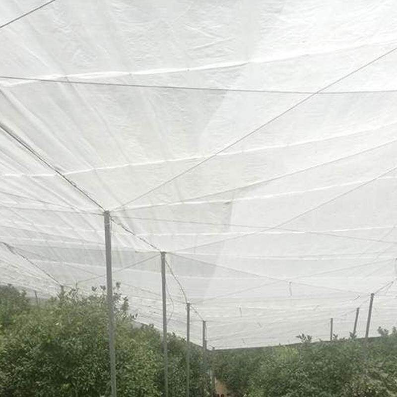 防虫网蔬菜大棚专用防养园猪场蚊网晒果树防白粉虱0121晾网罩拼接
