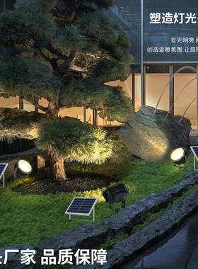 PTO太阳能射户地树灯外防水大功率l草ed园林照树灯插庭院花园坪超