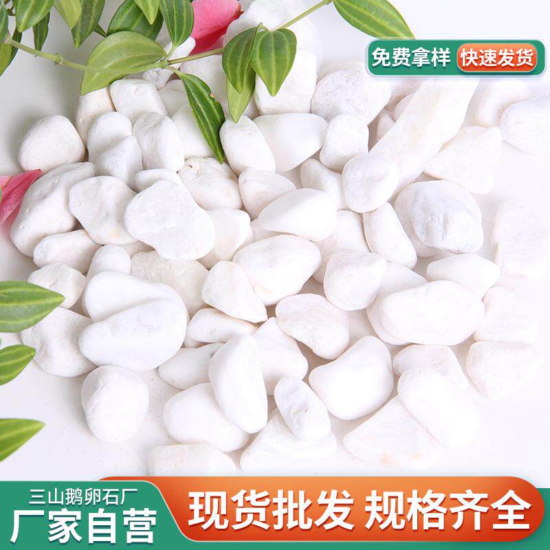 白色鹅石厂BIV家销雪花白雨直花石子园林卵景观鱼缸垫机制碎底石