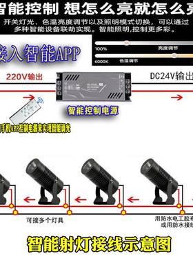 智能射灯三双变灯调光调色插地灯射照树树投光JC-CD210灯已色接入