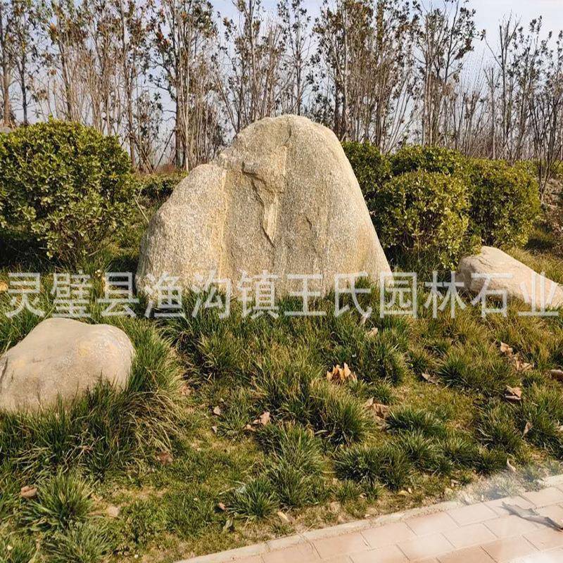 产地公泰山青色花纹石园青草坪点缀石泰山石景园观石接林工程龙石