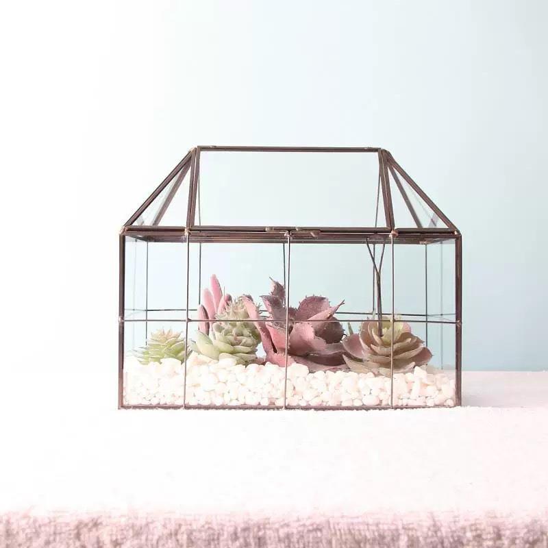 创意花盆摆件迷玻璃花房植闷养直网房箱你微景观缸生态物瓶玻璃网