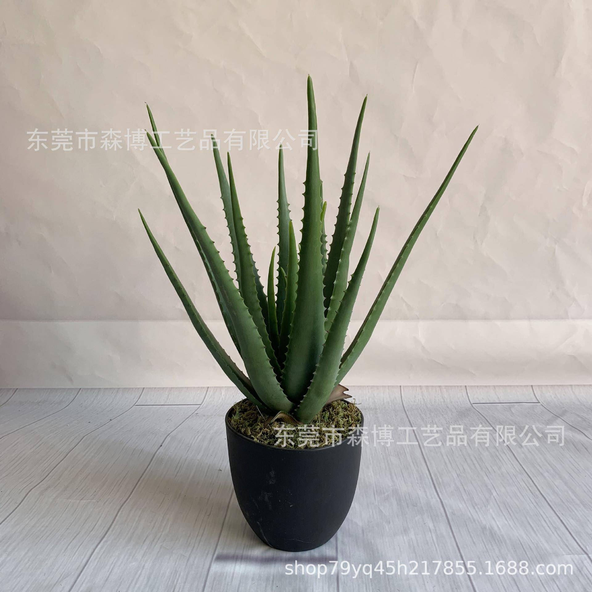 仿植芦物假荟盆面栽盆景室真内外客厅桌多肉小绿植摆FJC件橱窗装