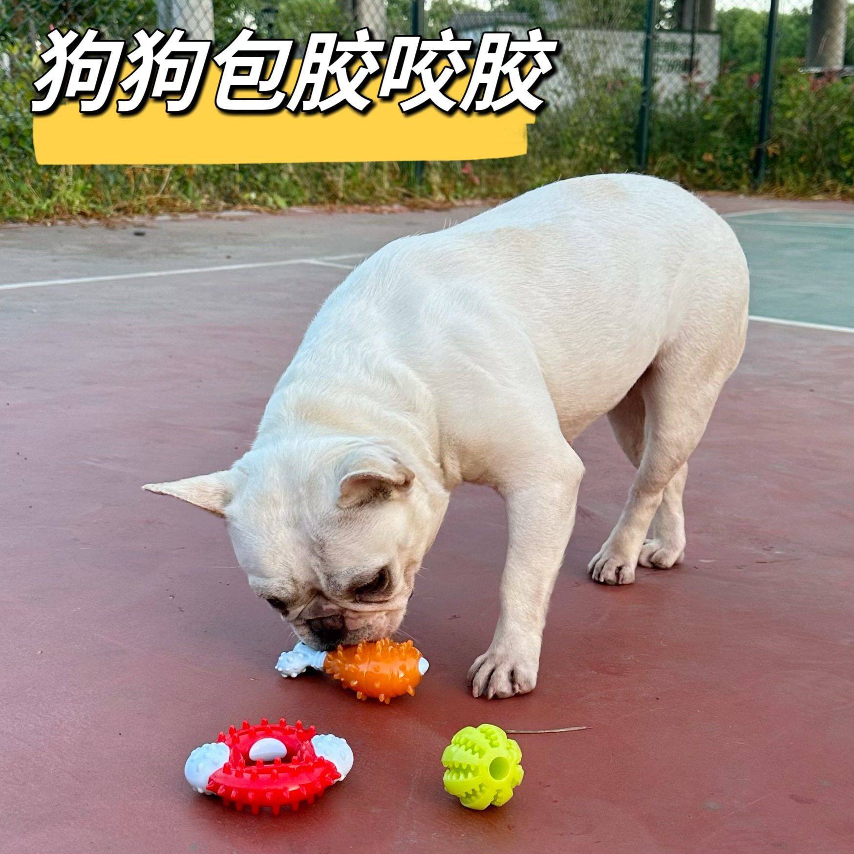 宠物玩具狗狗咬胶Tpr材质包胶玩具啃咬耐磨咬泰迪斗牛小型犬,宠物/宠物食品及用品,飞盘,淘宝优惠券,粉丝福利购,淘宝优惠卷