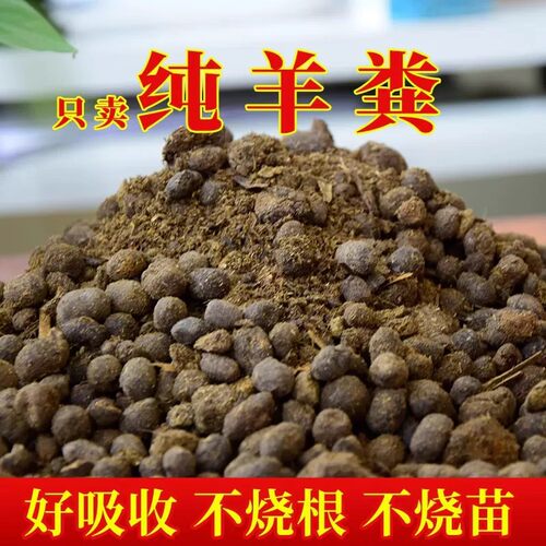 羊粪发酵有机肥纯羊粪蛋颗粒羊粪肥蔬菜花卉果树阳台盆栽月季肥料
