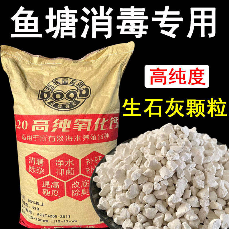 鱼塘生石灰消毒除臭净水