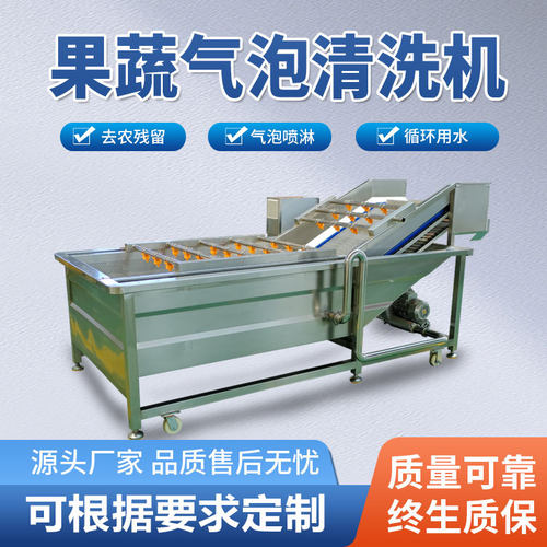 全自动气泡清洗机 喷淋式蔬菜清洗设备 水果净菜加工流水线设备