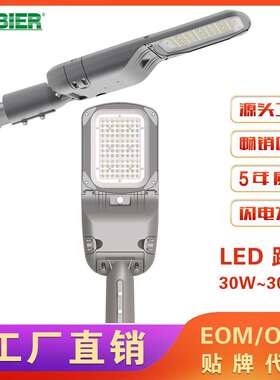 户外道路照明灯具60W100W200W300WLED路灯配备多种安装配件