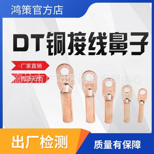 DT双孔紫铜鼻子镀锡铜接头铜线耳接线鼻子铜线耳接线端子镀锡