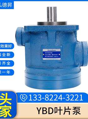 YBD叶片泵液压油泵YB-D10/16/25/32/40机床液压泵车辆叶片泵现货