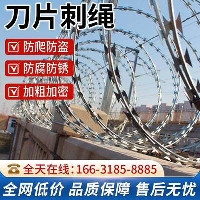 刀片刺绳不锈钢滚笼防护网防锈刺网带刺铁丝防盗防爬刺围墙防爬网