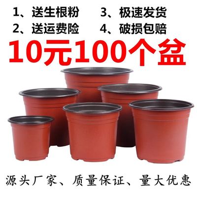 双色软塑育苗摔不坏花盆营养钵培育盆栽绿植多肉塑料园艺育苗盆