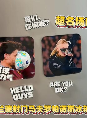 哈德兰射门超绝名场面冰箱贴！