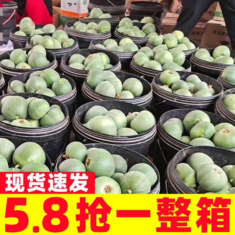 山东绿宝石甜瓜5斤新鲜时令水果当季小香瓜脆甜绿宝甜瓜包邮蜜瓜