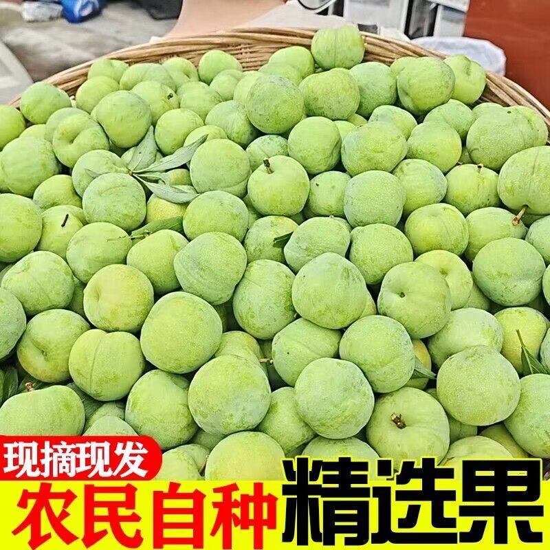四川五月脆脱骨李子新鲜水果