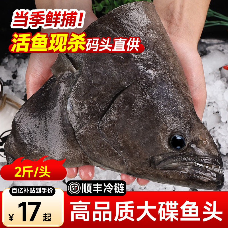 【新鲜速冻】碟鱼头特大深海鱼头比目鱼海鱼鸦片鱼商用批发鱼头