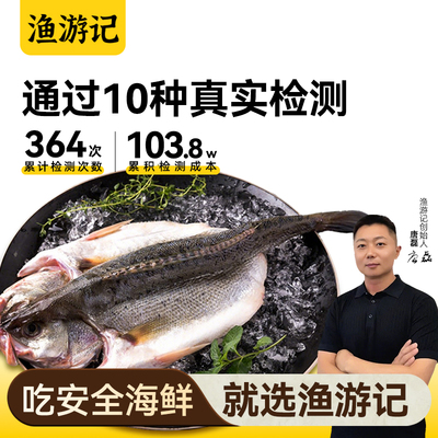 【当季新捕】海鲈鱼开背商用烤鱼