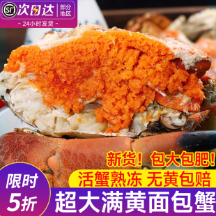 面包蟹熟冻特大母蟹鲜活冷冻帝王蟹珍宝蟹螃蟹海鲜黄金蟹送礼商用