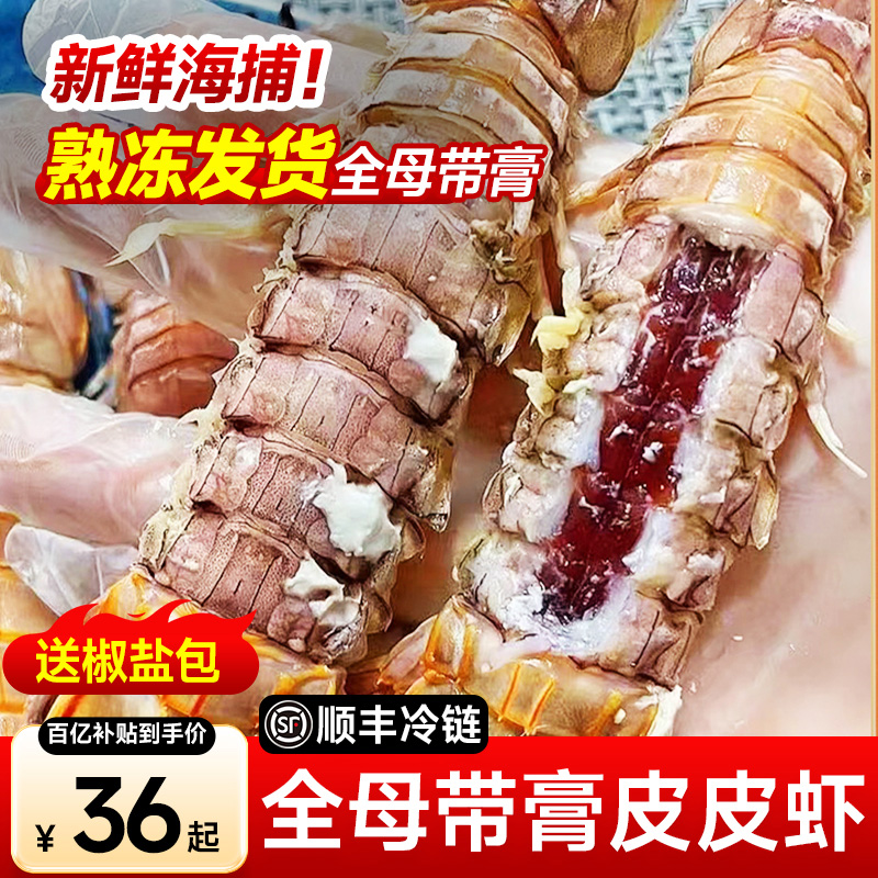 【当季新捕】皮皮虾全母带膏