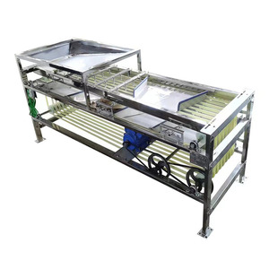 水果分选机 家用草莓分级机 车厘子分拣级 李子樱桃冬枣选果机