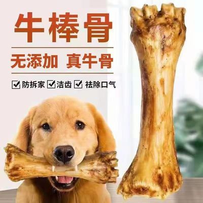 狗狗磨牙棒牛棒骨大骨头金毛中大小型幼犬洁齿训练奖励宠物狗零食