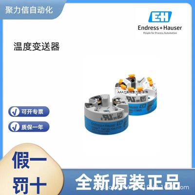 TTR31-A1C111AB1BAB 恩德斯豪斯E+H 热电阻