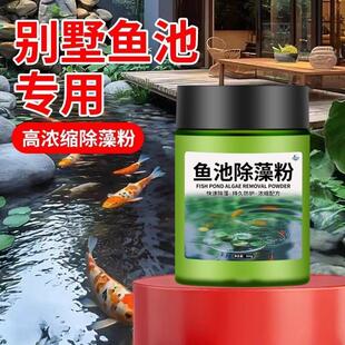 室外鱼池除藻去苔剂别墅鱼池除藻粉绿水绿藻青苔清除剂分解酶净化