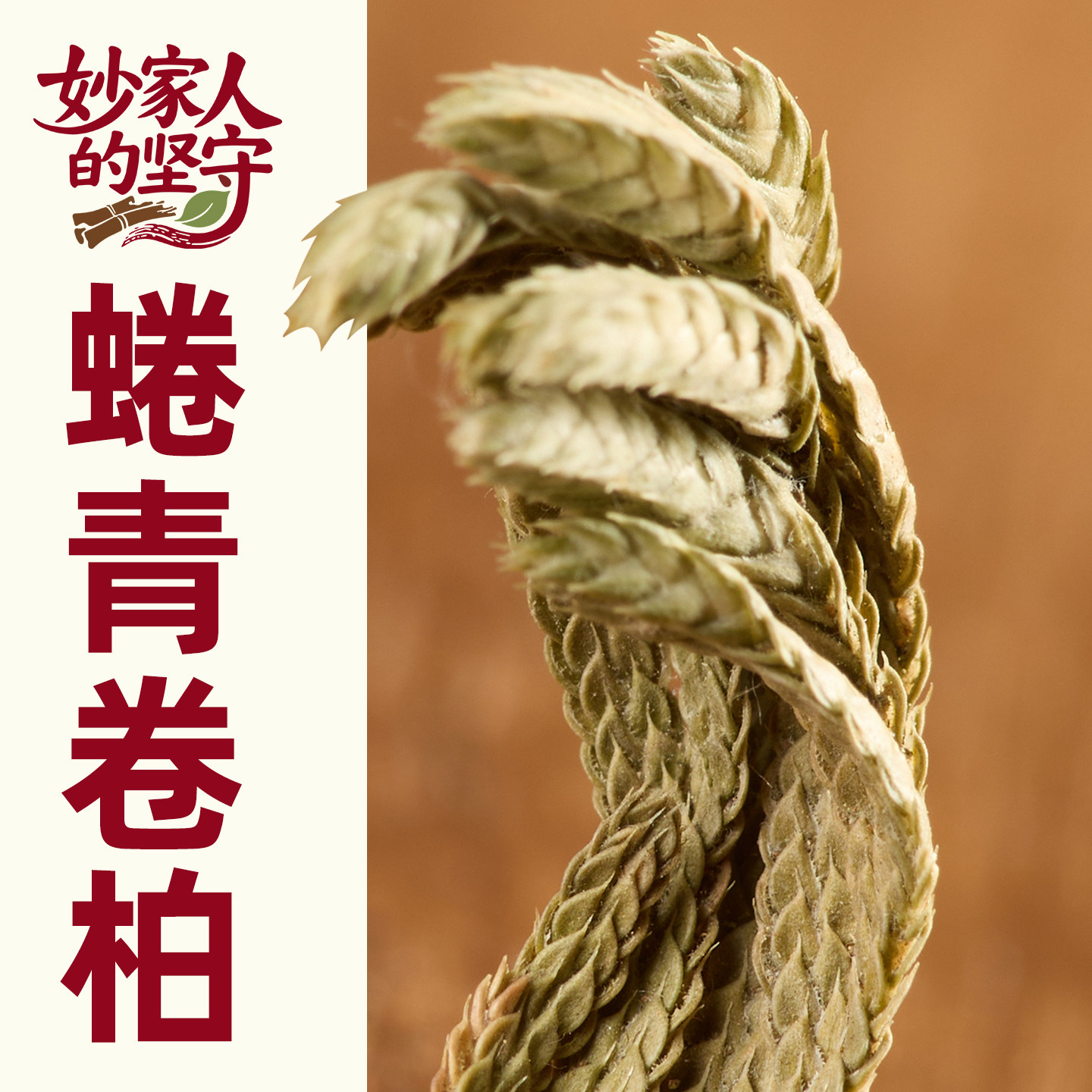 卷柏中药材500g克精选云南正品卷伯植物九死还魂草卷伯草还阳草