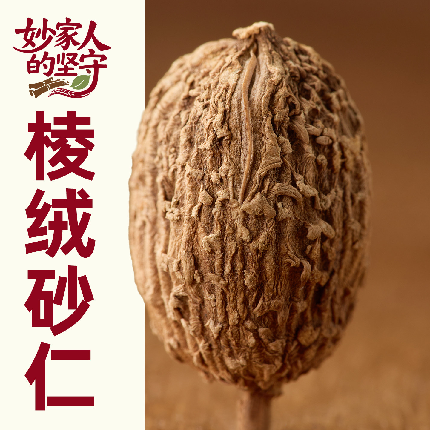 砂仁中药材500g克正宗阳春砂仁砂仁野生正品精选砂仁果香料缩砂仁
