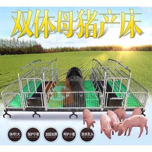 母猪产床复合板铸铁梁双体产床仔猪分娩床产保一体产床养殖设备