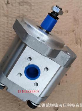 1515800013 HAS-07 76704 齿轮泵