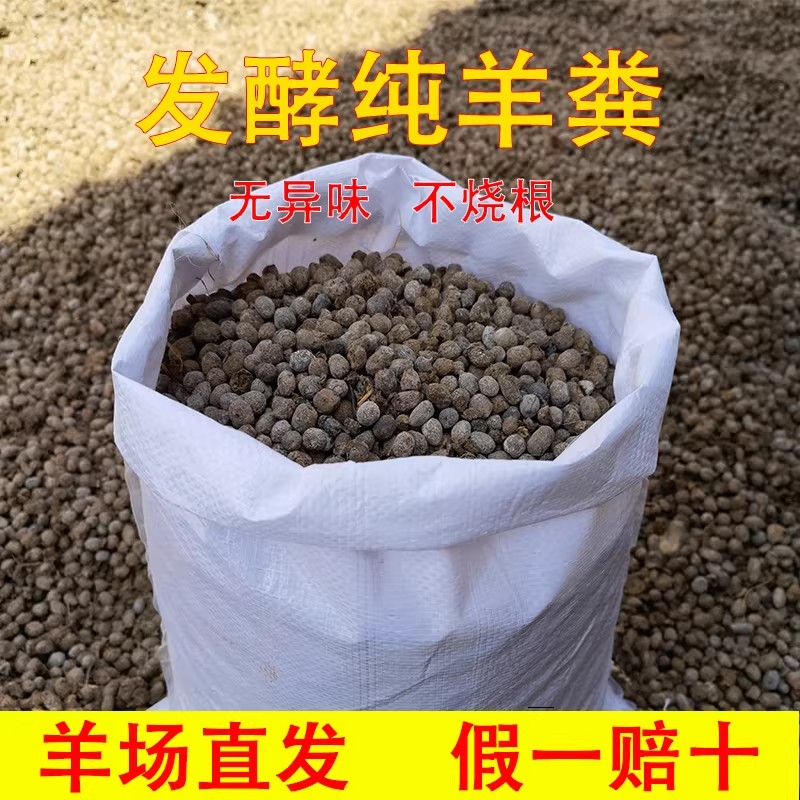 羊粪发酵有机肥干蛋鸡种