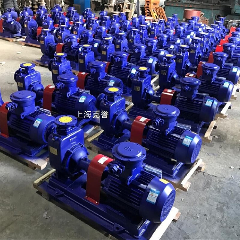 直销自吸式无堵塞排污泵65ZW25-50自吸污水泵 工业化工排污自吸泵