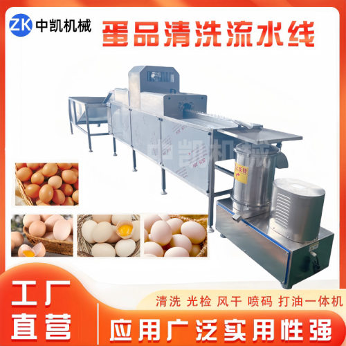 商用裹泥蛋洗蛋机 鸡蛋外壳粪便清洗风干喷码设备 鸡蛋清洗流水线