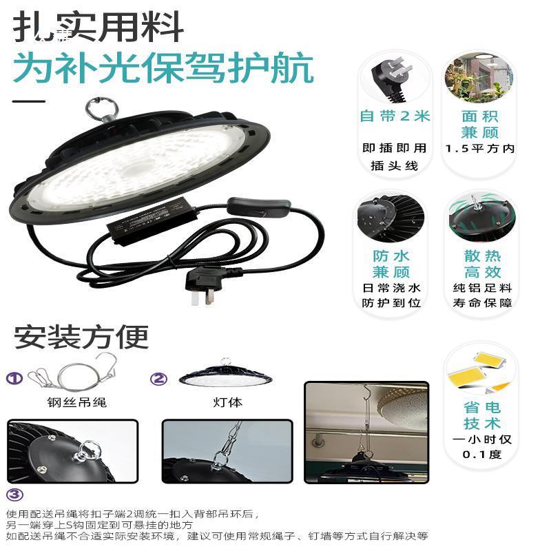 多月季物补光灯仿肉太全光阳植DKF谱绿植室内兰花生长灯爆藻灯