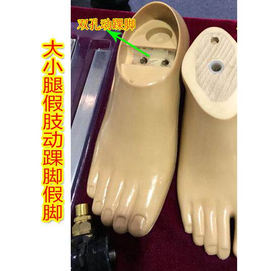 聚氨酯材料大小腿假肢脚板 假脚动踝假脚15CM-27CM 假肢配件