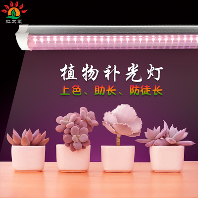 红太氧全光谱多肉补光灯仿太阳室内家用绿植上色灯植物光照生长灯